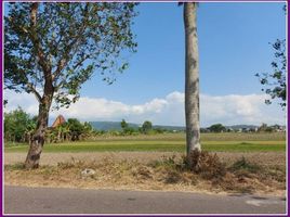  Land for sale in Prambanan, Klaten, Prambanan