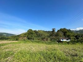  Terreno (Parcela) en venta en Manizales, Caldas, Manizales