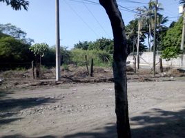 在Manzanillo, Colima出售的 土地, Manzanillo