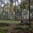  Land for sale in Abang, Bali, Abang