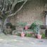 在FazWaz.cn出售的6 卧室 Quinta, Zapopan, Jalisco, 墨西哥