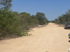  Grundstück zu verkaufen in Progreso, Yucatan, Progreso