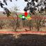  Land for sale in Charo, Michoacan, Charo