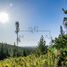  Land for sale in Navidad, Libertador General Bernardo Ohiggins, Navidad