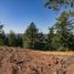  Terreno (Parcela) en venta en Cardenal Caro, Libertador General Bernardo O'Higgins, Navidad, Cardenal Caro