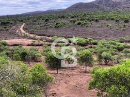  Land for sale in Salta, Capital, Salta