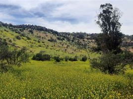  Terreno (Parcela) en venta en Santiago, Colina, Chacabuco, Santiago