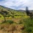  Terreno (Parcela) en venta en Santiago, Colina, Chacabuco, Santiago