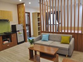 1 Phòng ngủ Chung cư for rent in Ô Chợ Dừa, Đống Đa, Ô Chợ Dừa