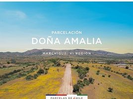  Terreno (Parcela) en venta en Cardenal Caro, Libertador General Bernardo O'Higgins, La Estrella, Cardenal Caro