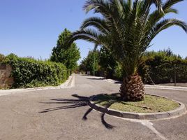  Land for sale in Chile, Colina, Chacabuco, Santiago, Chile