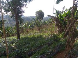  Grundstück zu verkaufen in Lembang, West Jawa, Lembang, Bandung, West Jawa, Indonesien