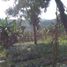  Grundstück zu verkaufen in Lembang, West Jawa, Lembang, Bandung, West Jawa, Indonesien