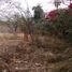  Land for sale in Miacatlan, Morelos, Miacatlan