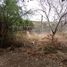  Land for sale in Miacatlan, Morelos, Miacatlan