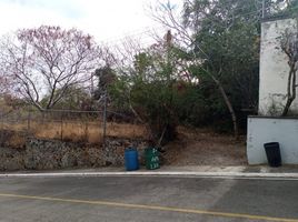  Land for sale in Miacatlan, Morelos, Miacatlan