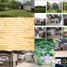 4 Bedroom House for rent in Jalpa De Mendez, Tabasco, Jalpa De Mendez, Tabasco