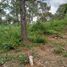 Terreno (Parcela) en venta en Tapalpa, Jalisco, Tapalpa, Jalisco