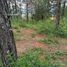  Terreno (Parcela) en venta en Tapalpa, Jalisco, Tapalpa, Jalisco
