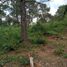  Terreno (Parcela) en venta en Tapalpa, Jalisco, Tapalpa, Jalisco