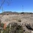  Land for sale in Chile, Coquimbo, Elqui, Coquimbo, Chile