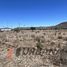  Land for sale in Chile, Coquimbo, Elqui, Coquimbo, Chile