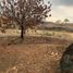  Land for sale in Guayaquil, Guayas, Guayaquil, Guayaquil, Guayas