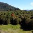  Land for sale in Chile, Puerto Montt, Llanquihue, Los Lagos, Chile