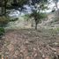  Land for sale in San Jeronimo, Antioquia, San Jeronimo