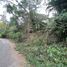  Land for sale in San Jeronimo, Antioquia, San Jeronimo