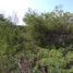  Land for sale in Dist Tehuantepec, Oaxaca, Dist Tehuantepec