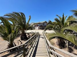  Land for sale in Choapa Coquimbo, Los Vilos, Choapa, Coquimbo