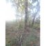  Villa for sale in Ojos del Caburga, Cautin, Pucon, Cautin