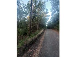  Villa for sale in Ojos del Caburga, Cautin, Pucon, Cautin