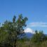  Terreno (Parcela) en venta en Chile, Antuco, Biobío, Biobío, Chile