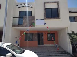 3 Habitación Villa en alquiler en Jalisco, Zapopan, Jalisco