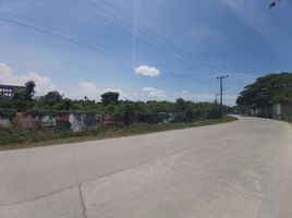  Land for sale in Cordova, Cebu, Cordova