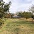  Terreno (Parcela) en venta en Maipo, Santiago, San Bernardo, Maipo