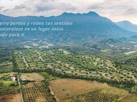  Land for sale in Allende, Nuevo Leon, Allende, Nuevo Leon