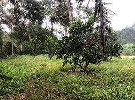  Land for sale in Batang Padang, Perak, Bidor, Batang Padang