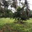  Land for sale in Bidor, Perak, Bidor, Batang Padang