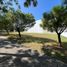 Land for sale in Zapopan, Jalisco, Zapopan