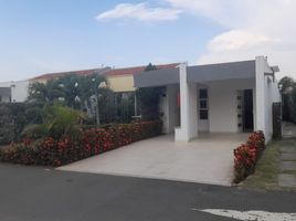 3 Habitación Casa en alquiler en Puerto Tejada, Cauca, Puerto Tejada