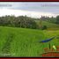  Land for sale in Selemadeg, Tabanan, Selemadeg