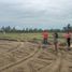  Grundstück zu verkaufen in Piura, Piura, Piura, Piura, Piura