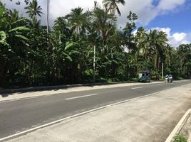  Land for sale in Lucban, Quezon, Lucban