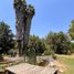  Terreno (Parcela) en venta en Chacabuco, Santiago, Colina, Chacabuco