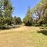  Terreno (Parcela) en venta en Chacabuco, Santiago, Colina, Chacabuco