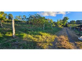  Terrain for sale in Palmira, Boquete, Palmira