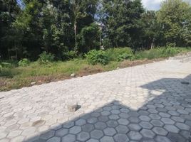  Land for sale in Sedayu, Bantul, Sedayu